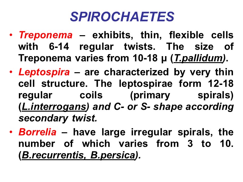 SPIROCHAETES Treponema – exhibits, thin, flexible cells with 6-14 regular twists. The size of